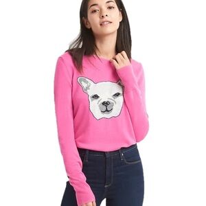 Gap dog Dog Merino Wool Pink white gray Long Sleeve Sweater XS NWT